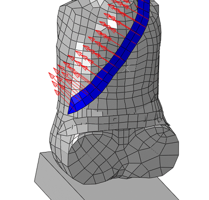 Seat-belt-analysis-of-a-simplified-crash-dummy