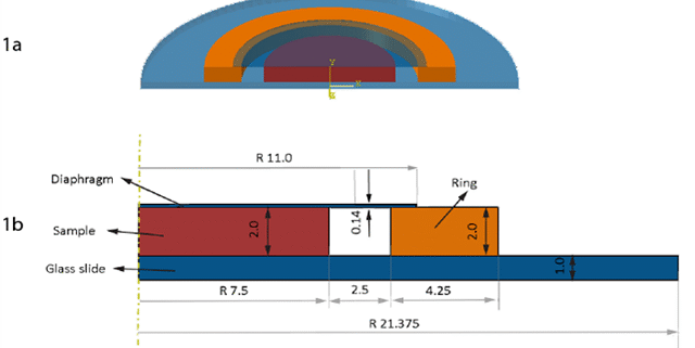 Modeling-the-Watts-test-of-adhesives